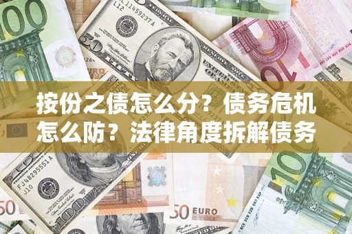 武汉按份之债怎么分？债务危机怎么防？法律角度拆解债务分配与风险自保指南