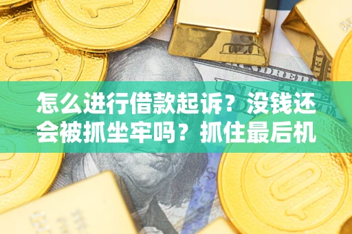 武汉怎么进行借款起诉？没钱还会被抓坐牢吗？抓住最后机会！