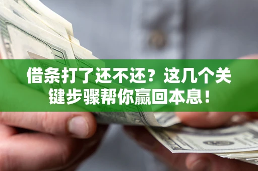 武汉借条打了还不还？这几个关键步骤帮你赢回本息！