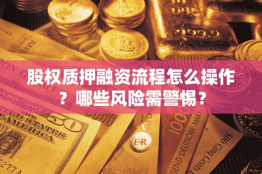 武汉股权质押融资流程怎么操作？哪些风险需警惕？