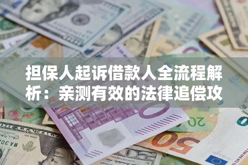 武汉担保人起诉借款人全流程解析：亲测有效的法律追偿攻略