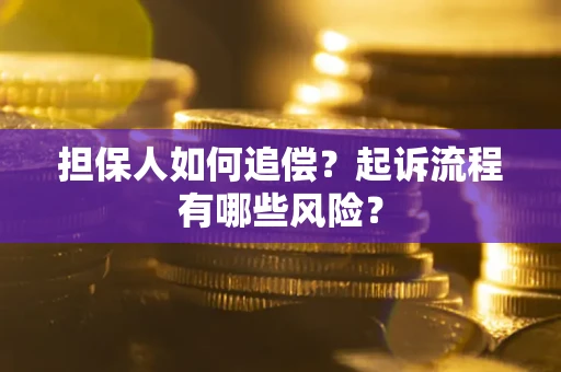 武汉担保人如何追偿？起诉流程有哪些风险？