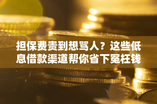 武汉担保费贵到想骂人？这些低息借款渠道帮你省下冤枉钱