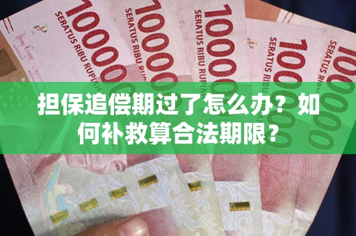 武汉担保追偿期过了怎么办？如何补救算合法期限？