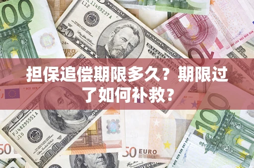 武汉担保追偿期限多久？期限过了如何补救？