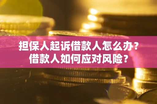 武汉担保人起诉借款人怎么办？借款人如何应对风险？