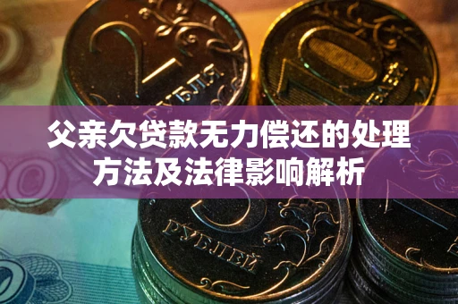 武汉父亲欠贷款无力偿还的处理方法及法律影响解析