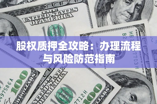 武汉股权质押全攻略：办理流程与风险防范指南