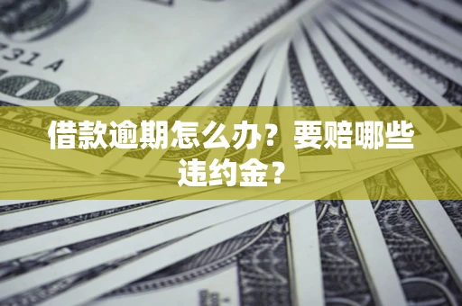 武汉借款逾期怎么办？要赔哪些违约金？