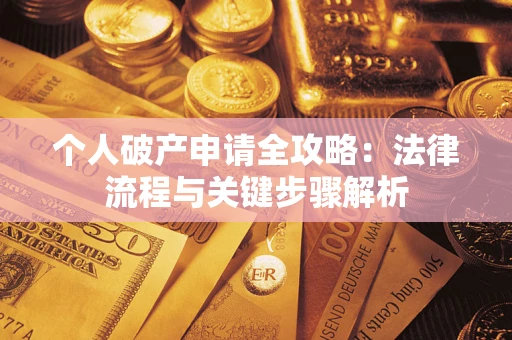 武汉个人破产申请全攻略：法律流程与关键步骤解析