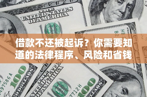 武汉借款不还被起诉？你需要知道的法律程序、风险和省钱技巧