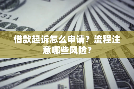 武汉借款起诉怎么申请？流程注意哪些风险？
